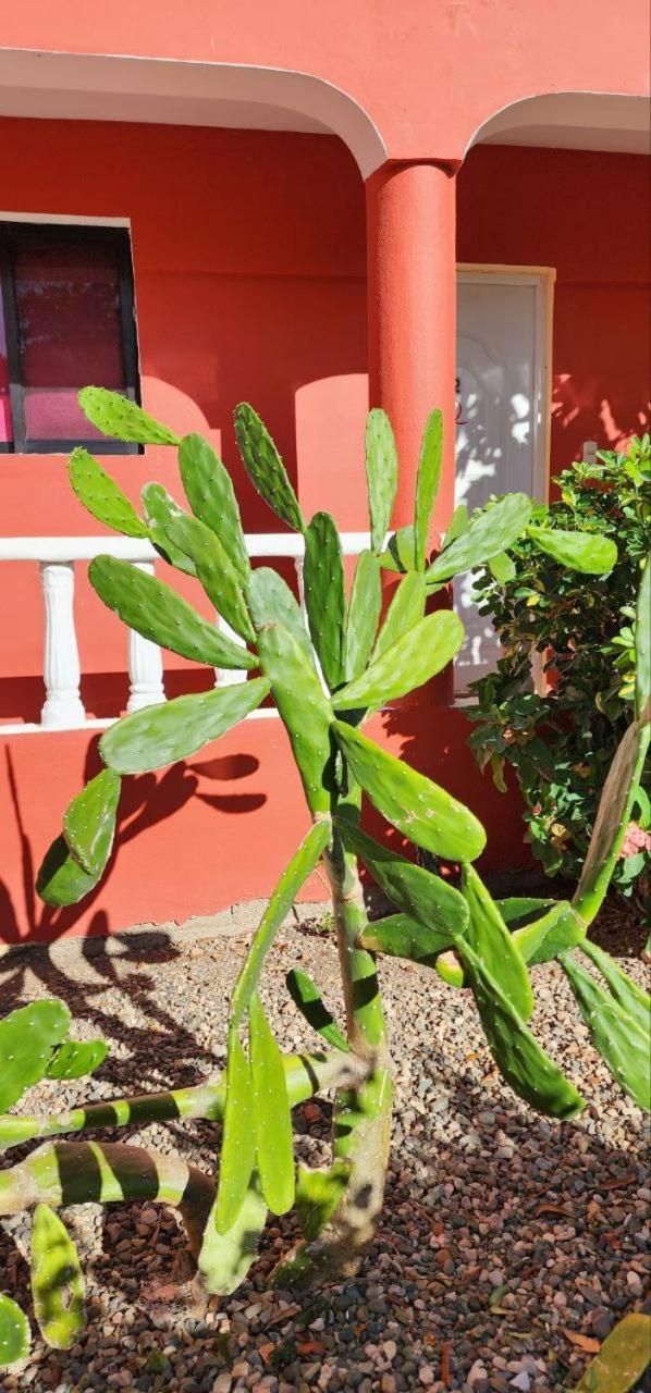 Villa Kiki Ensenada Punta Rucia Buitenkant foto